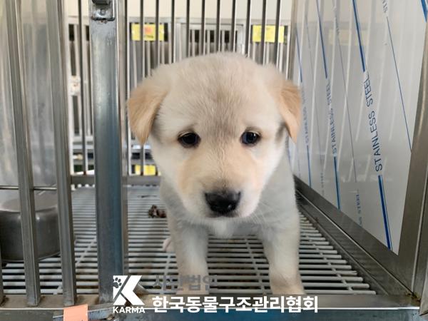 한국동물구조관리협회_411315202500194
